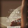 Flori 