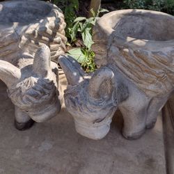 Donkey Planters . Burros De Concreto 