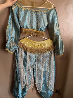 Aladdin Princess Jasmine Costume