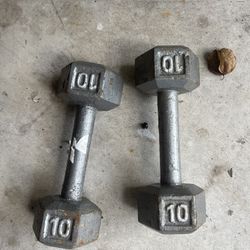 10lb Dumbbells
