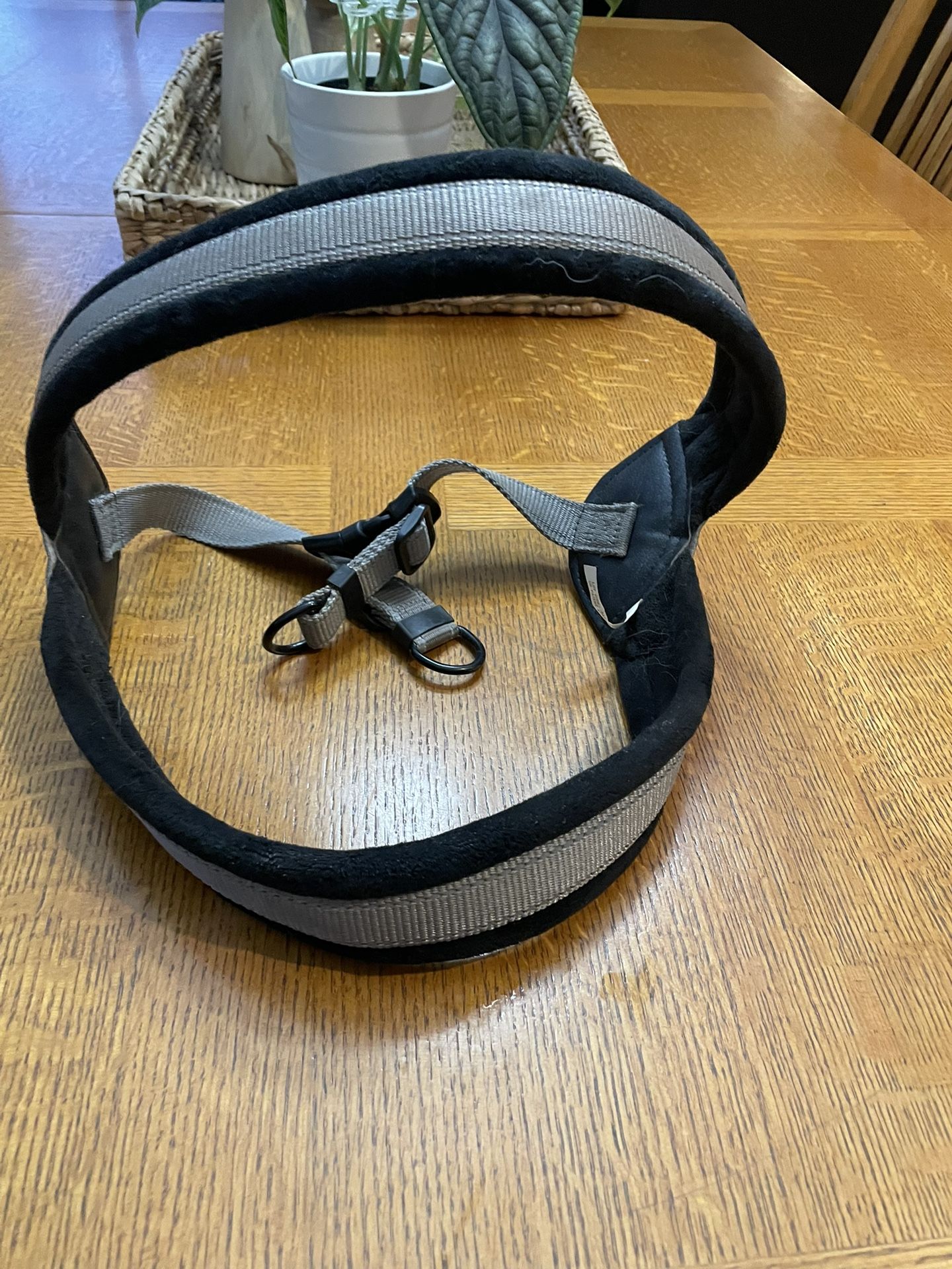 Good2Go step In Harness XL