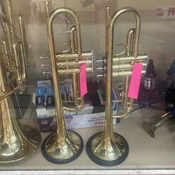 Fever trumpet new Nuevo trompeta