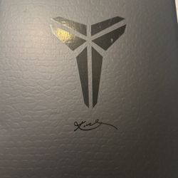 Nike Kobe VI Proto