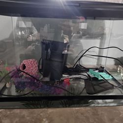 10 gallon Fish Tank 