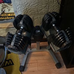 Nautilus Dumbells 52.5 Set