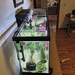 Fish Tanks