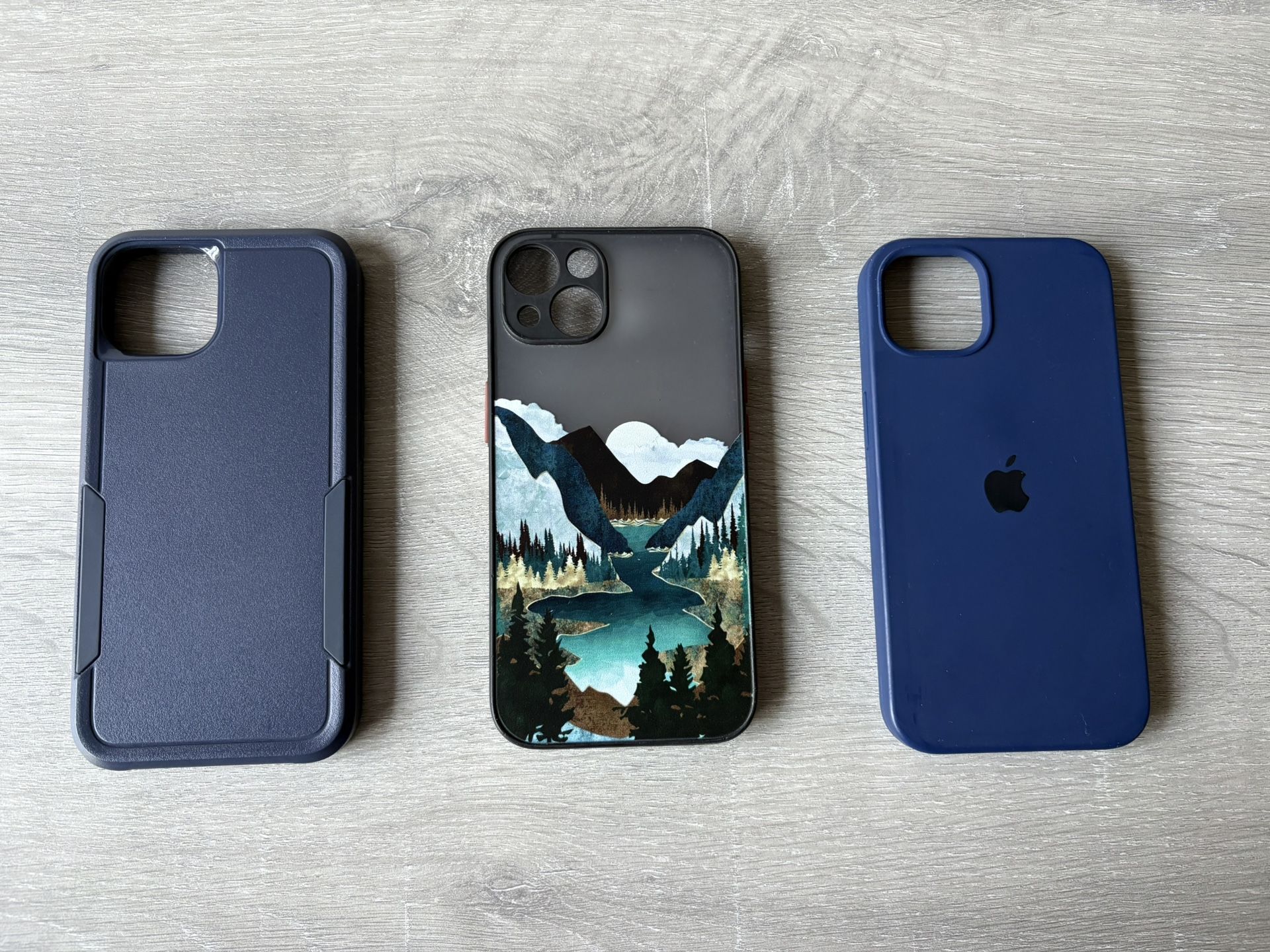 iPhone 13 Cases