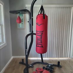 Everlast Punching Bag 