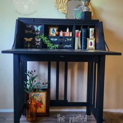 Dark academia entomology refinished small secretary desk