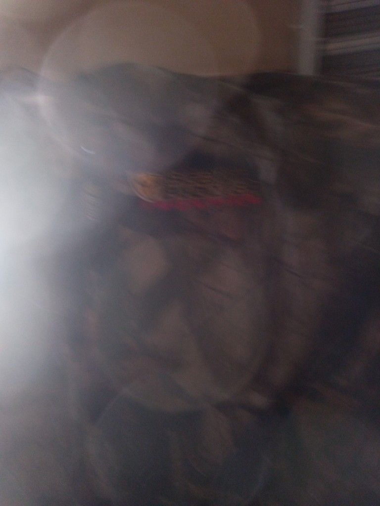 Scent Blocker Jacket