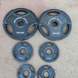 Fitness Gear Olympic Weight Plates