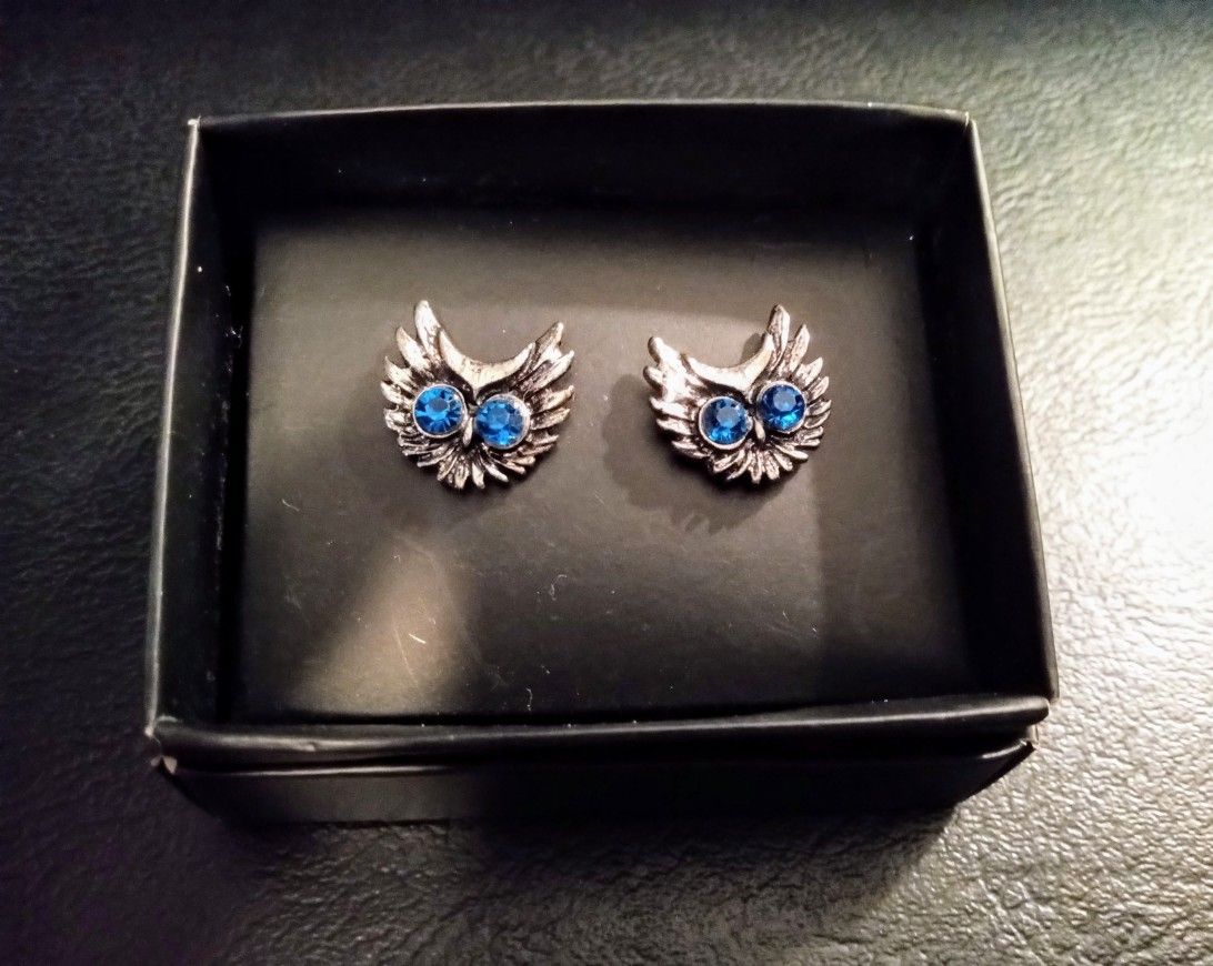 Blue Zircon Owl 🦉 Earrings