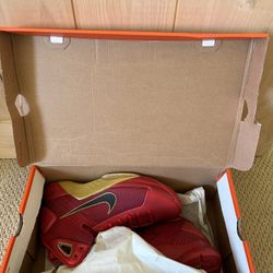 2008 Nike Kobe Bryant Hyperdunk Supreme China Size 10