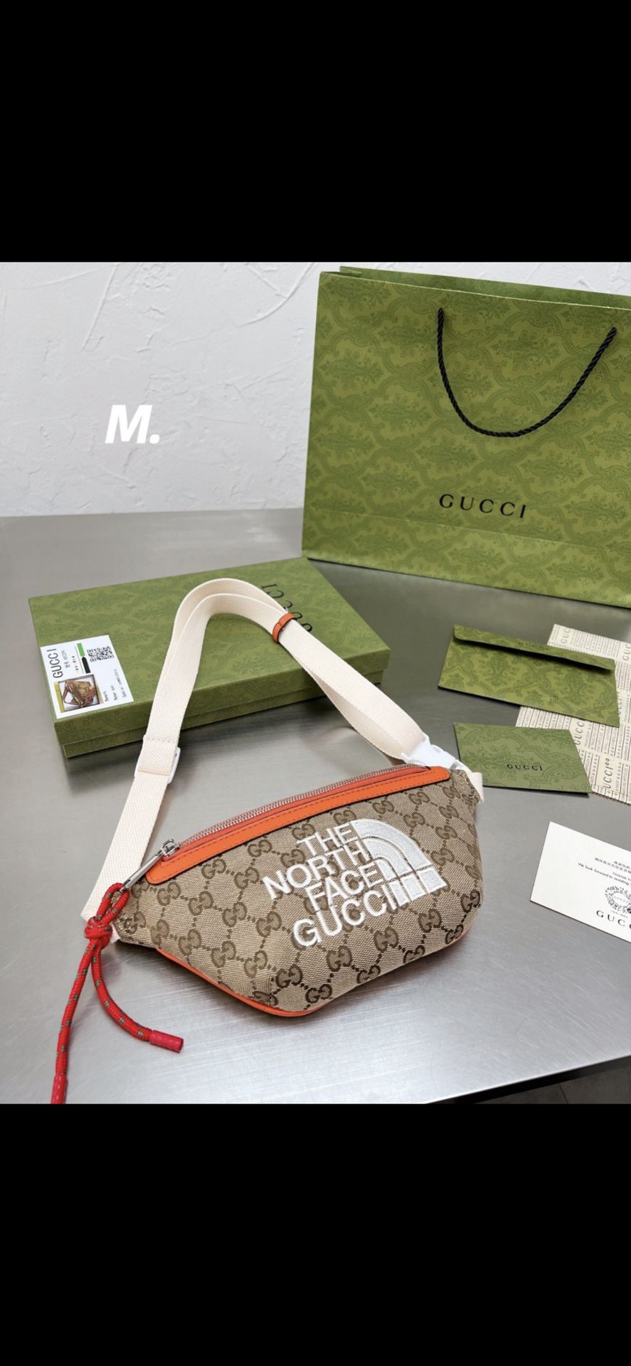 The NORTH FACE GUCCI FANNY BAG AUTHENTIC 