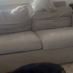 2 Sofa beds Queen and twin