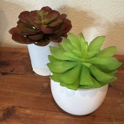 FAUX SUCCULENTS