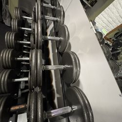 Pro style Dumbbell Set