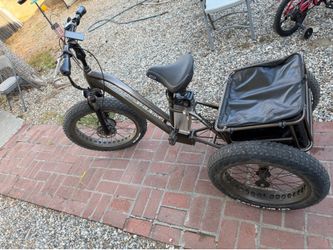 Electric trycicle