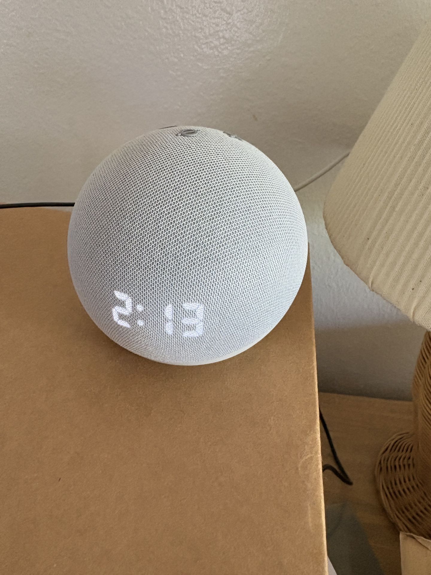 Echo Dot