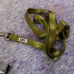 Green Dog Leash 