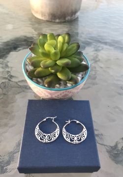 Sterling Silver earrings