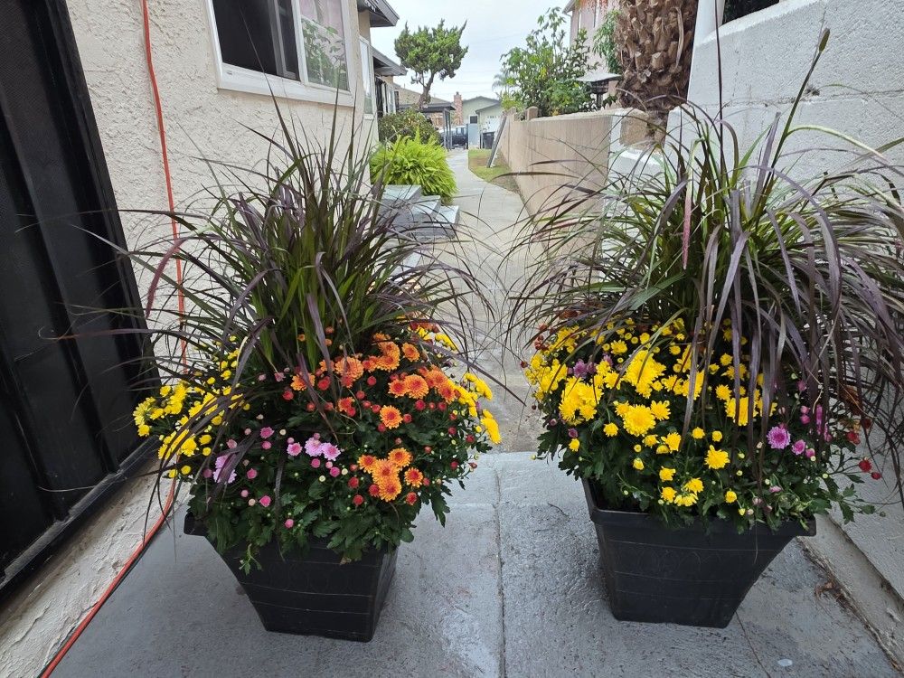 Bonitos Maseteros Con Plantas Naturales