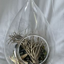 Glass Hanging Sealife Decor