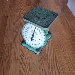 vintage American Family Scale