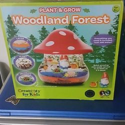 Woodland Forest Plant And Grow