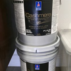 Designer paint Cashmere Flat 10 gallons Biege color