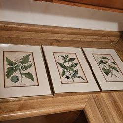 san francisco prints,etc prints in frame