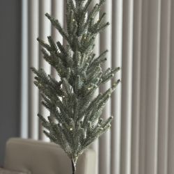 Christmas Tree Lights Up