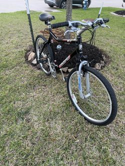 Haro Vector V1 9.5”