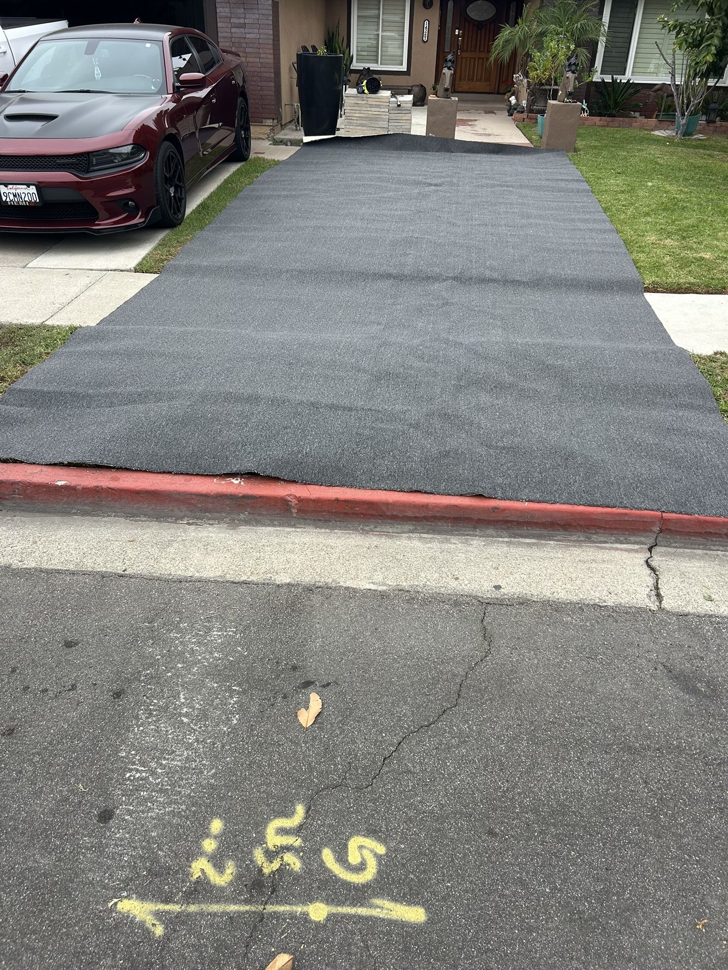 Carpet New 12x30