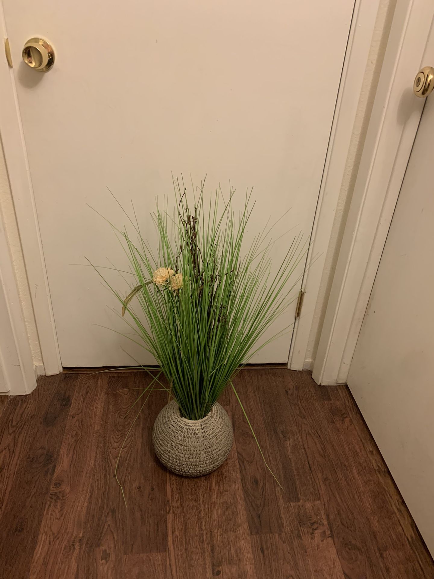 Vase plant decoration