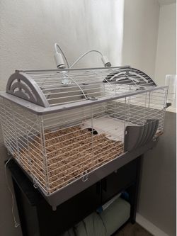 Guinea pig cage