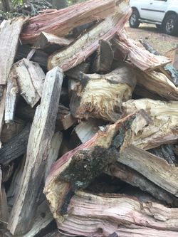 Hickory, pecan, maple 🍁, and oak