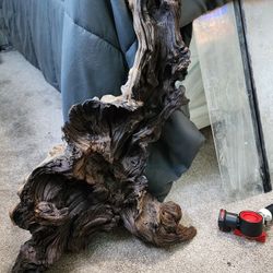Beautiful Piece Of Driftwood