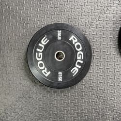 Rogue Echo V2 35 lb plates (pair)