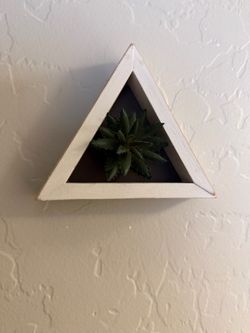 Succulent Decor