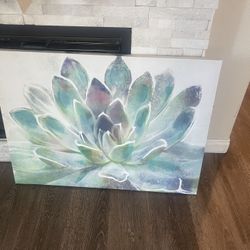  Succulent Canvas Painting 