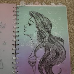 Cinderella Castle Tab Journal With Artwork Of Disney Princesses 
