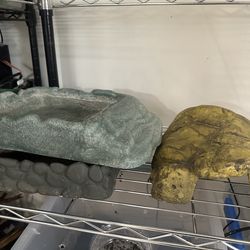 Bowls and hide reptiles