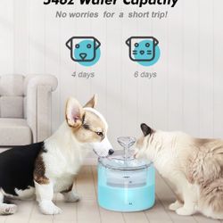 Pet Water Fountain