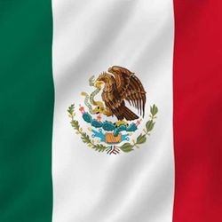 Bandera / Flag 