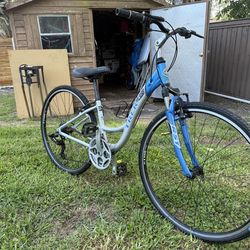 Bicycle 29 inch for women