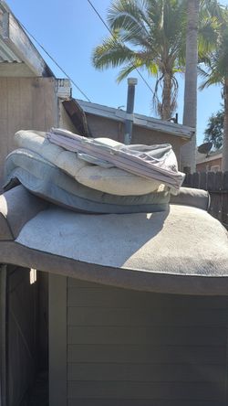 Dog beds
