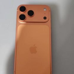 iPhone 17 Pro Max With Apple Case 