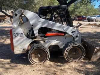 Bobcat