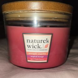 Natures wick candles NEW from Target $11each smoke free home Parma FIRM$$ 